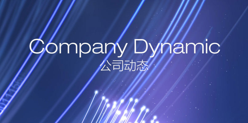 公司动态